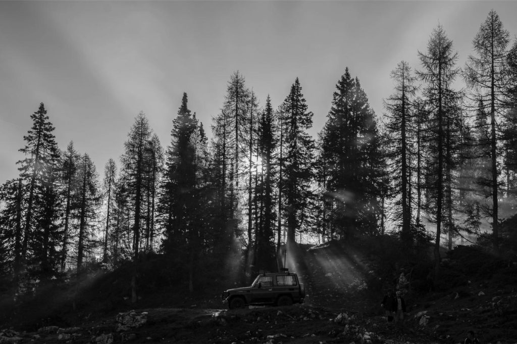 648-1360x904-grayscale-1024x681